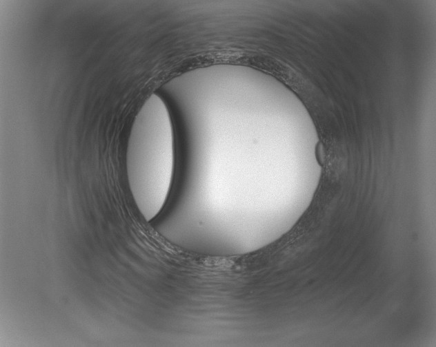 X0000078830866200611130929