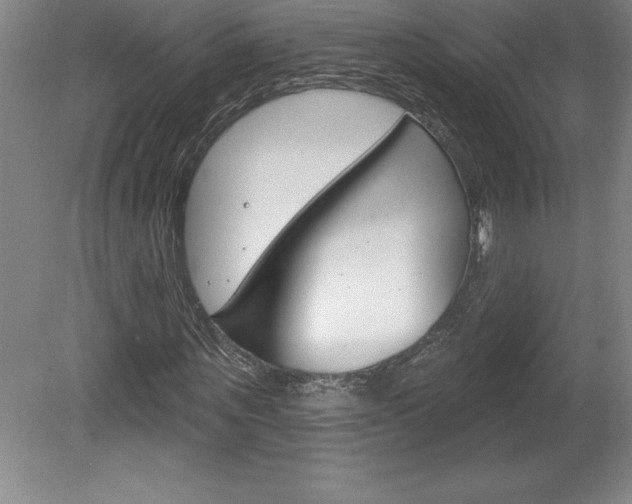 X0000078830867200611130929