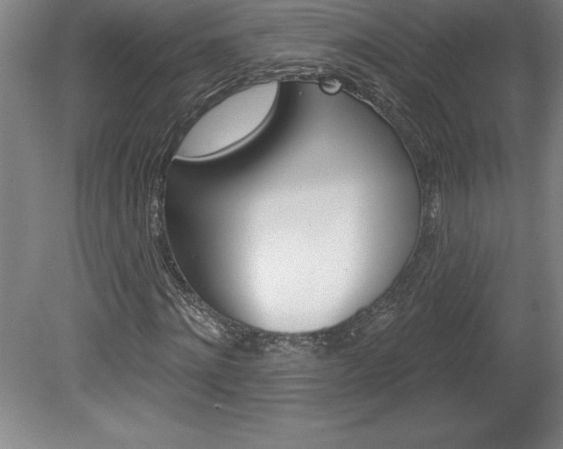 X0000078830868200611130929
