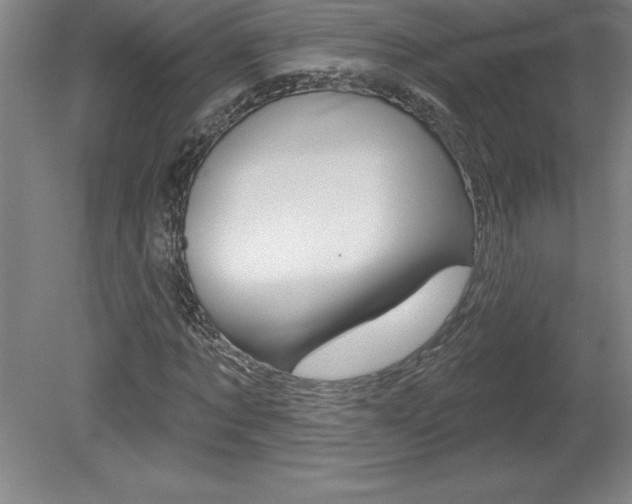 X0000078830869200611130929