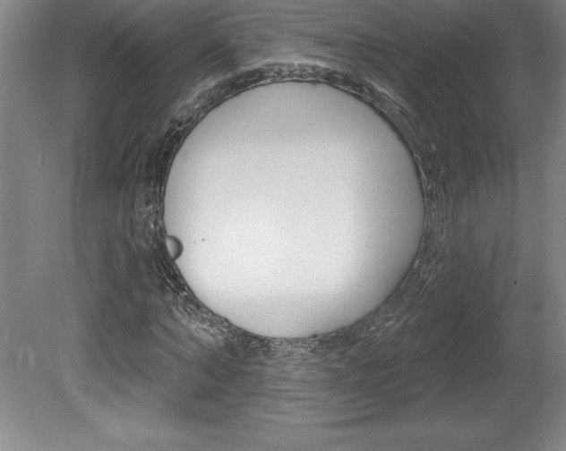 X0000078830870200611130929