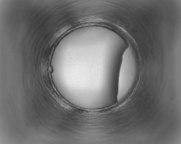 X0000078830873200611130929
