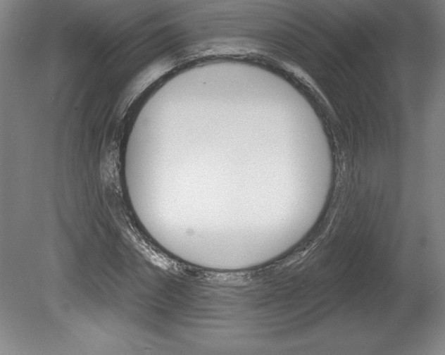 X0000078830874200611130929