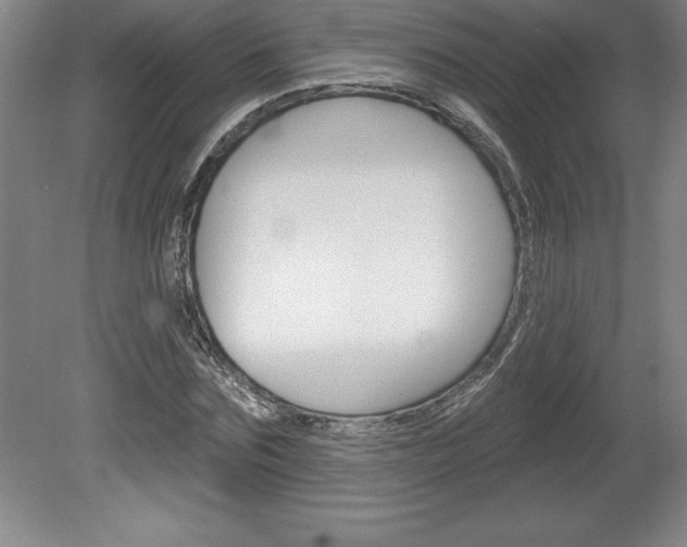 X0000078830875200611130929