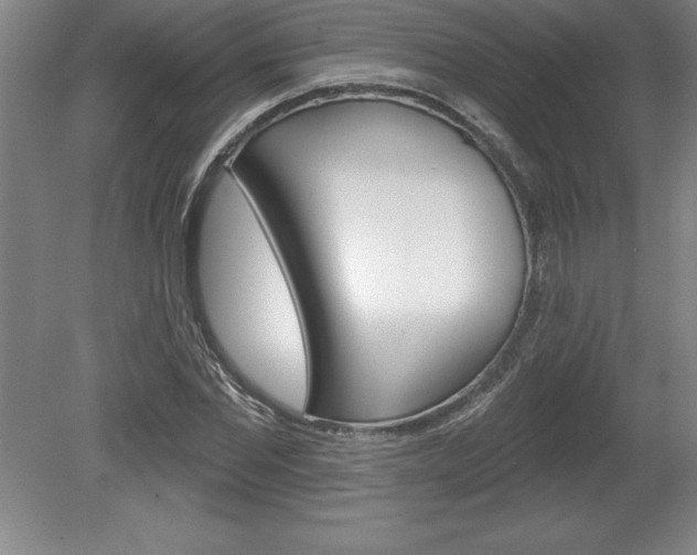 X0000078830877200611130929