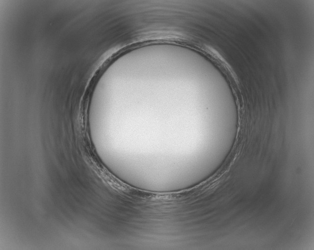 X0000078830883200611130929