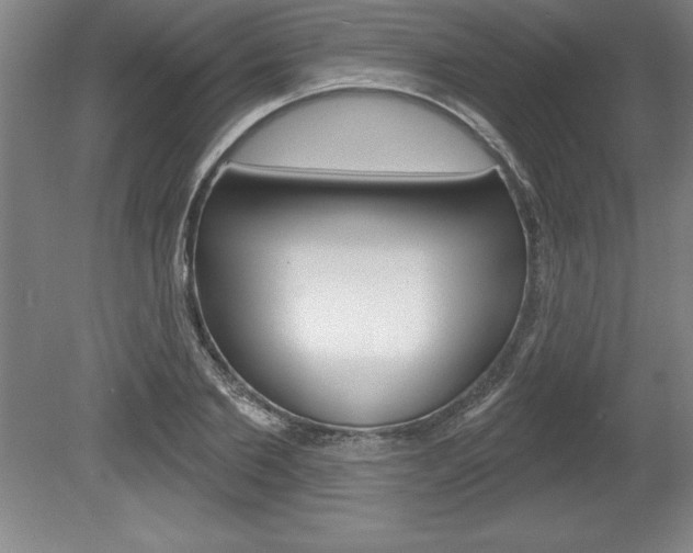 X0000078830885200611130929