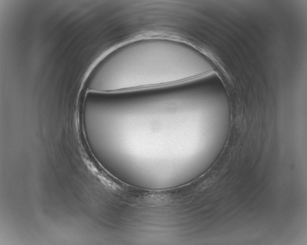 X0000078830888200611130929