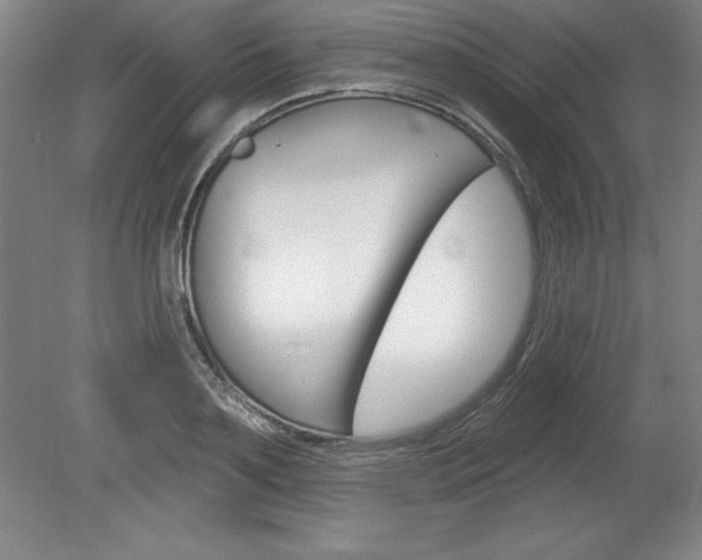 X0000078830891200611130929