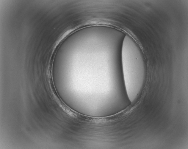 X0000078830893200611130929
