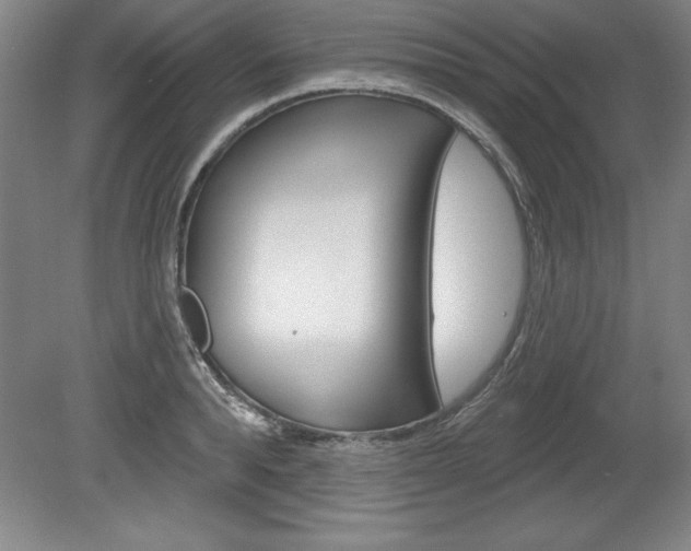 X0000078830896200611130929
