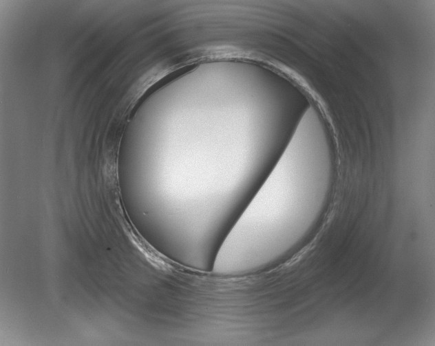 X0000078830897200611130929