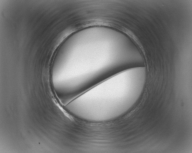 X0000078830898200611130929