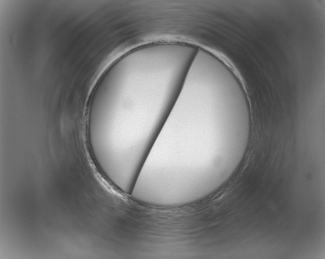 X0000078830903200611130929