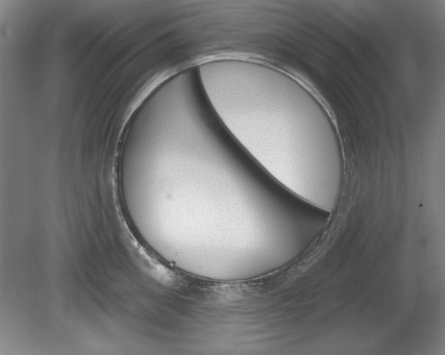 X0000078830906200611130929