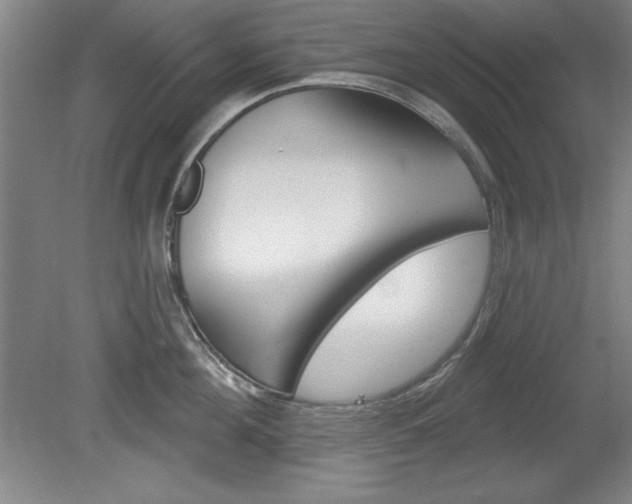 X0000078830908200611130928