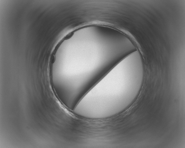 X0000078830910200611130928