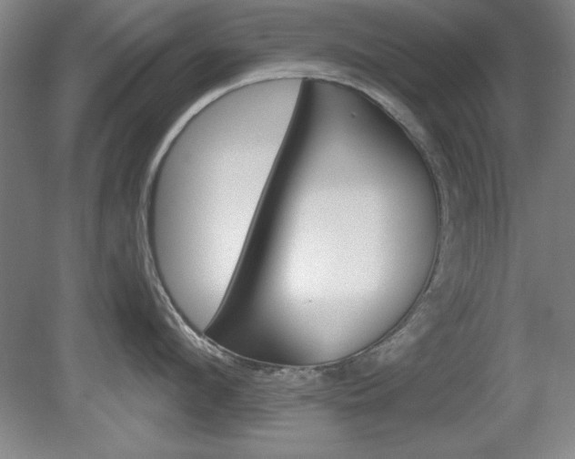 X0000078830912200611130928