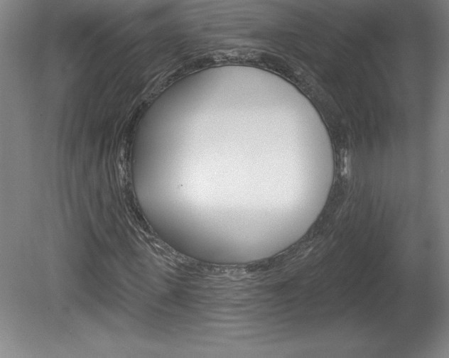 X0000078830915200611130928