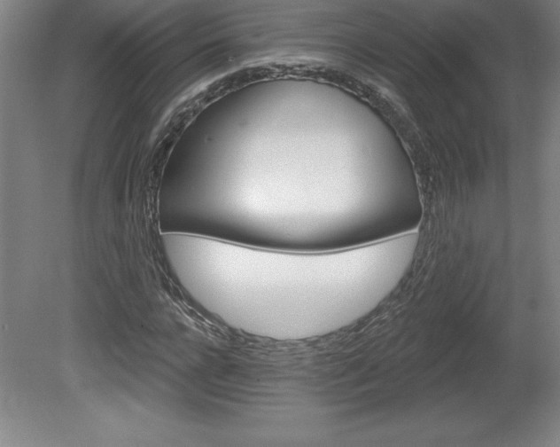 X0000078830920200611130928