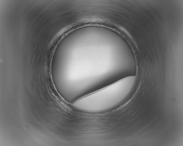 X0000078830922200611130928