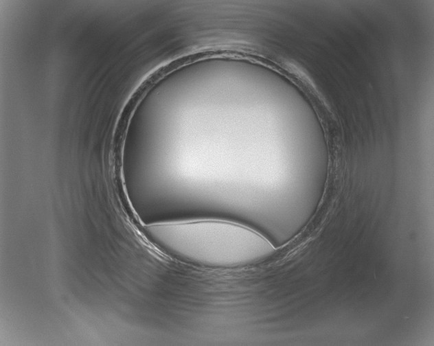 X0000078830924200611130928
