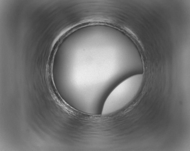 X0000078830928200611130928