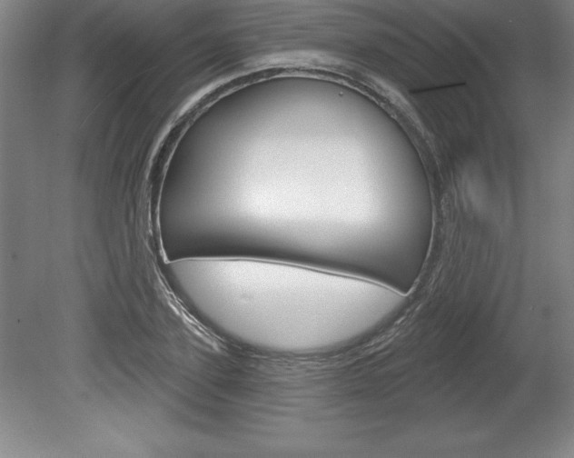 X0000078830931200611130928