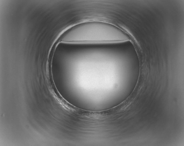 X0000078830932200611130928