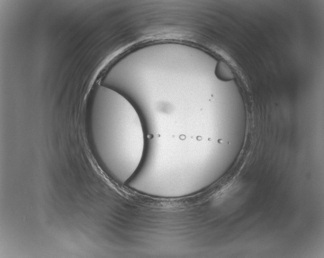 X0000078830933200611130928