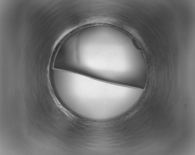 X0000078830936200611130928