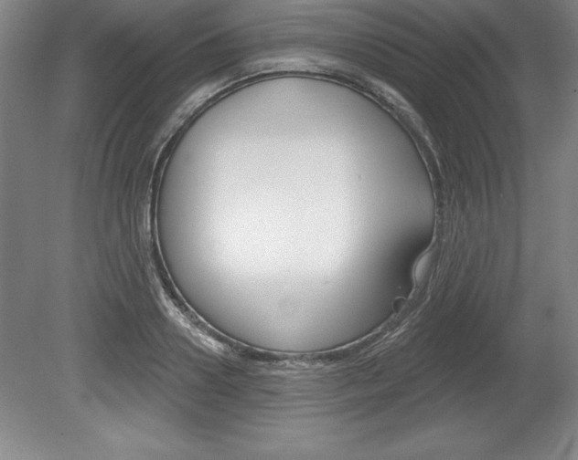 X0000078830938200611130928