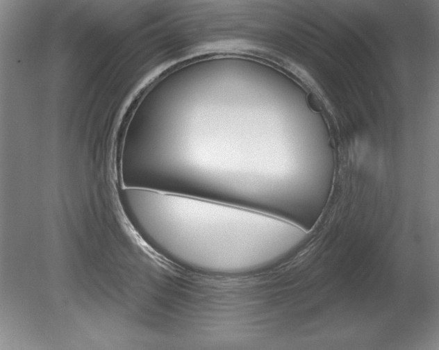 X0000078830939200611130928