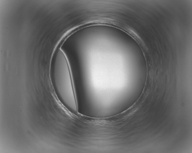 X0000078830940200611130928