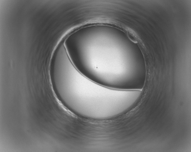 X0000078830942200611130928