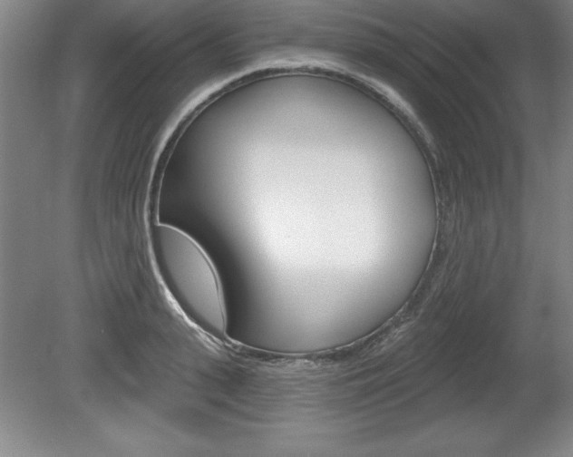 X0000078830943200611130928