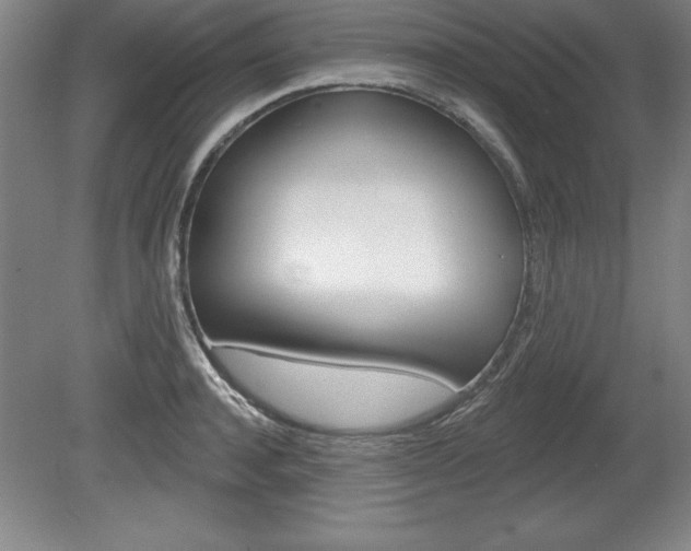 X0000078830944200611130928