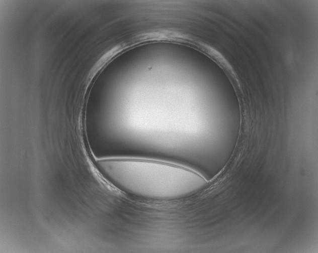 X0000078830946200611130928