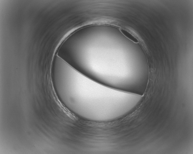 X0000078830948200611130928