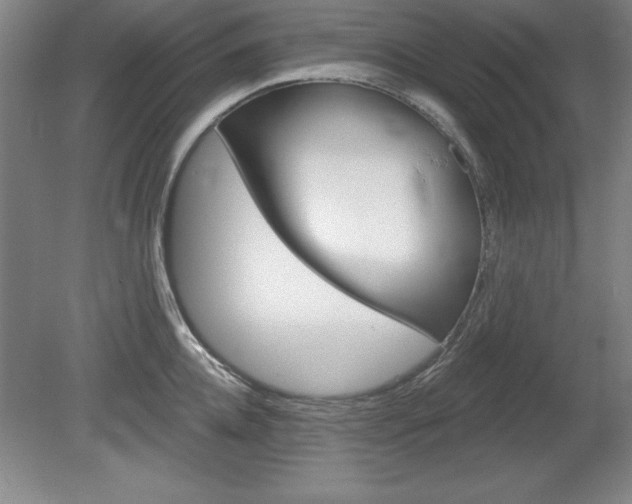 X0000078830952200611130928