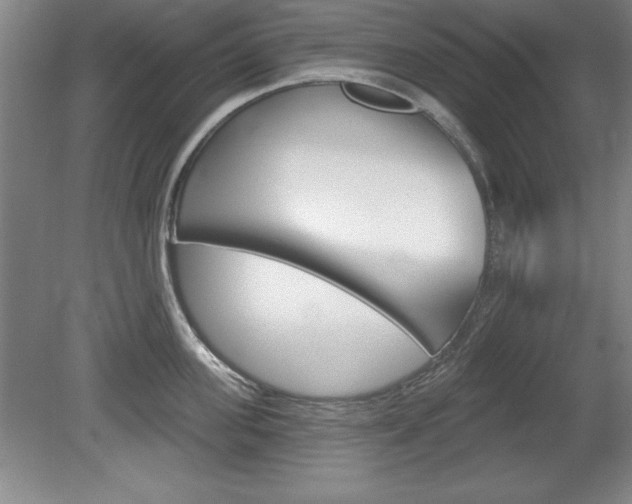 X0000078830955200611130928