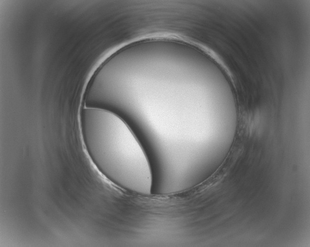 X0000078830959200611130928