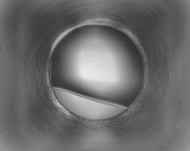 X0000078830960200611130928