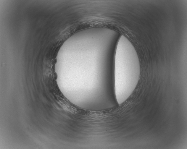 X0000078830964200611130928