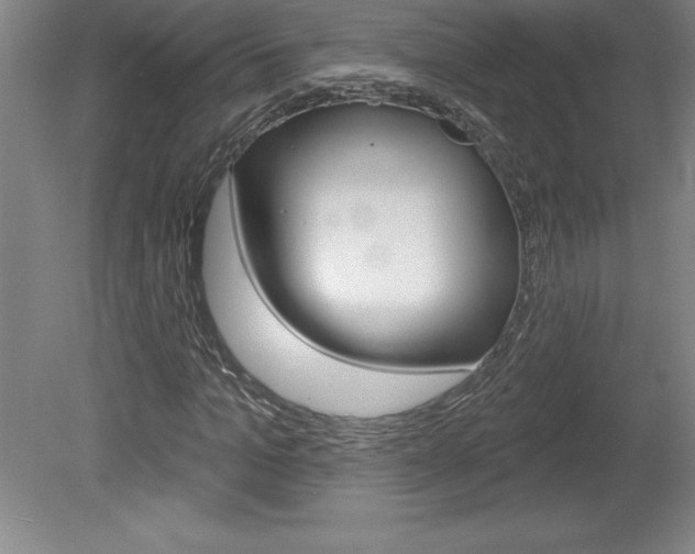 X0000078830965200611130928