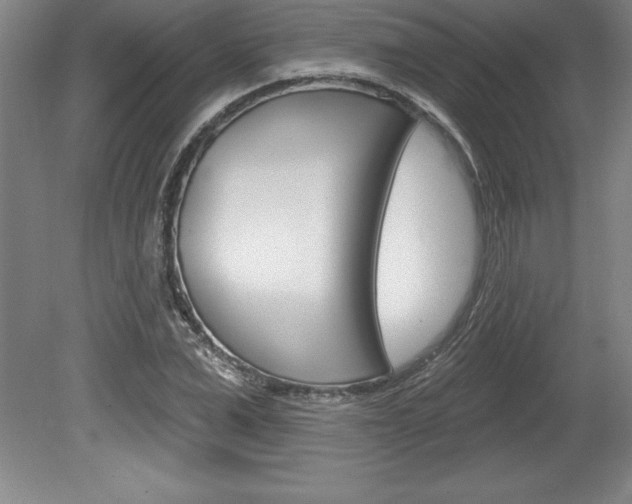 X0000078830975200611130927