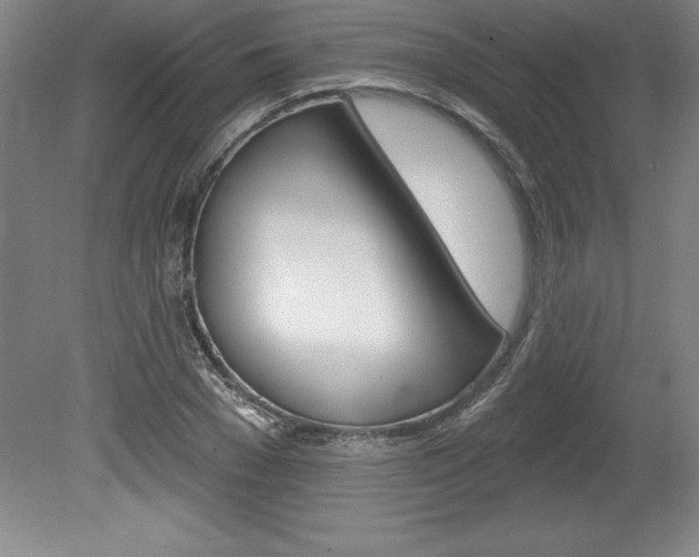 X0000078830977200611130927