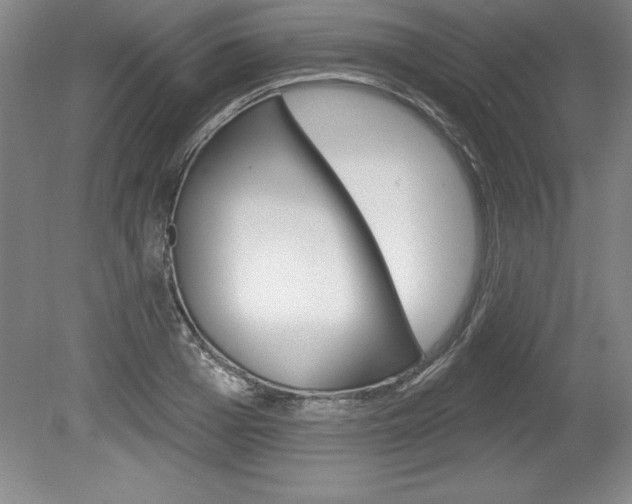 X0000078830985200611130927