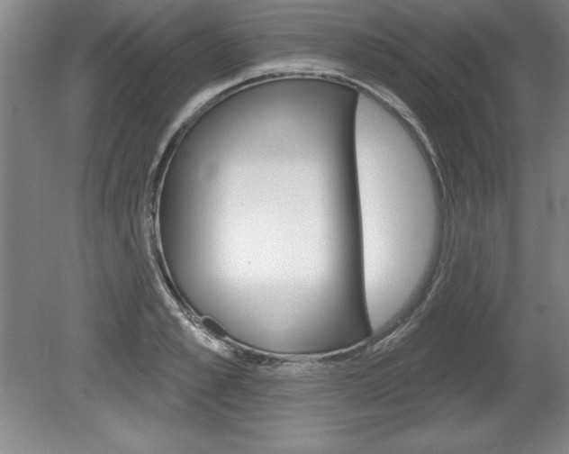 X0000078830989200611130927