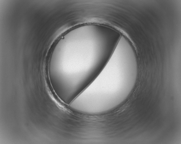 X0000078830991200611130927